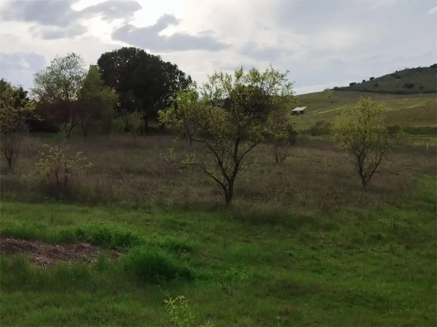Residencial en venta en Ribatejada