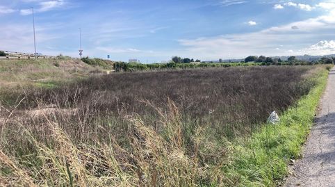 Foto 5 de Terreny en venda a Almoradí, Alicante