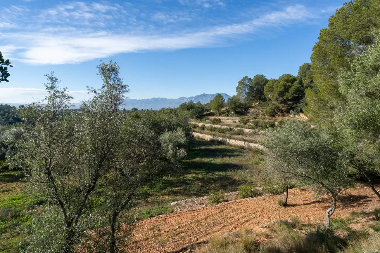 Casa o xalet en venda en Tortosa amb Calefacció, Jardí privat i Terrassa