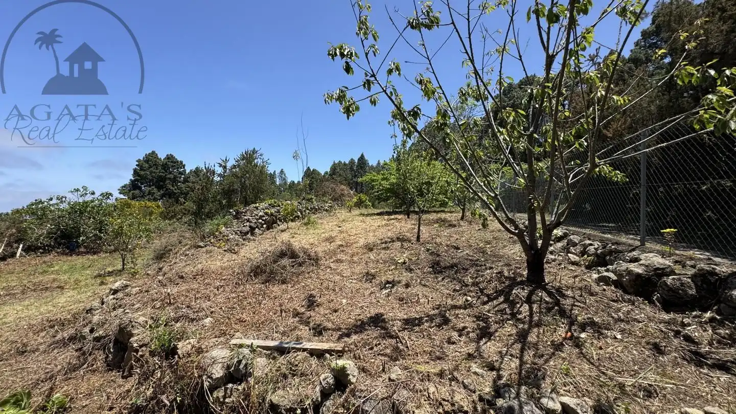 Lands and plots for sale in La Peña 1, imagen 5