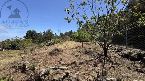 Foto 5 de Residencial en venda a La Peña, 1, La Vega - El Amparo - Cueva del Viento, Icod de los Vinos