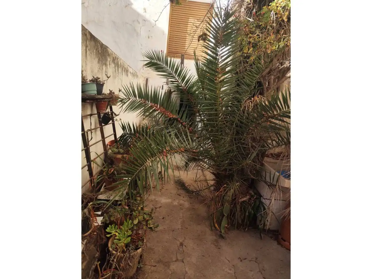 Casa en venta en Calle FALCON, imagen 14