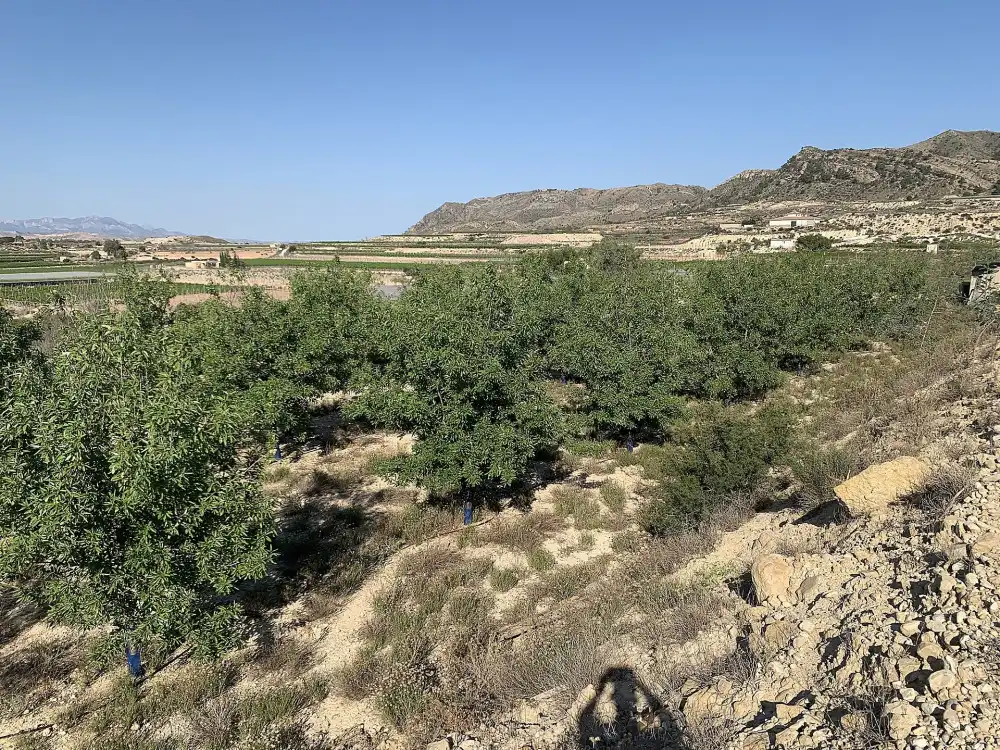 Terreno residencial en venta en Monforte del Cid, imagen 2