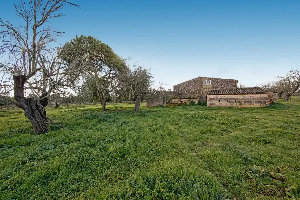 Maison rustique à vendre à Maria de la Salut
