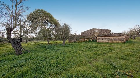 Finca rústica en venta en Maria de la Salut, Mallorca, imatge 2