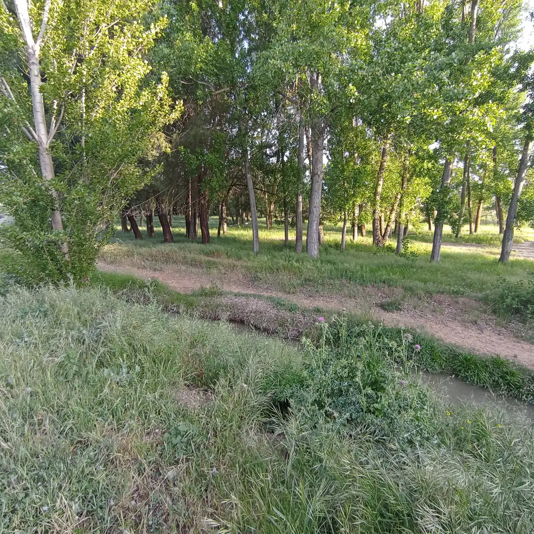 Casa o chalet en venta en Valladolid