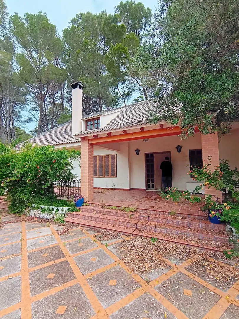 Vista exterior de Casa o chalet en venta en Alzira con Jardín privado y Terraza