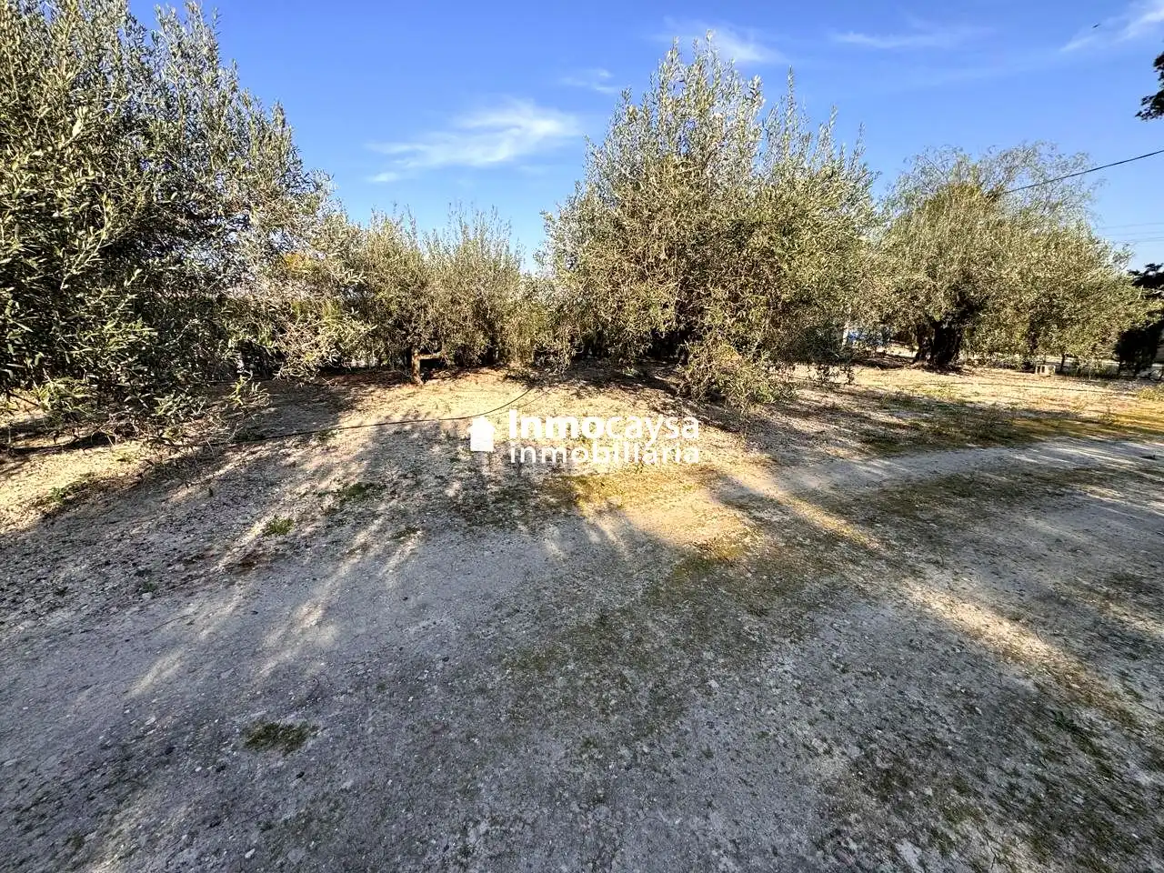 Grundstücke und Bauplätze zum Verkauf in Xàtiva, imagen 18