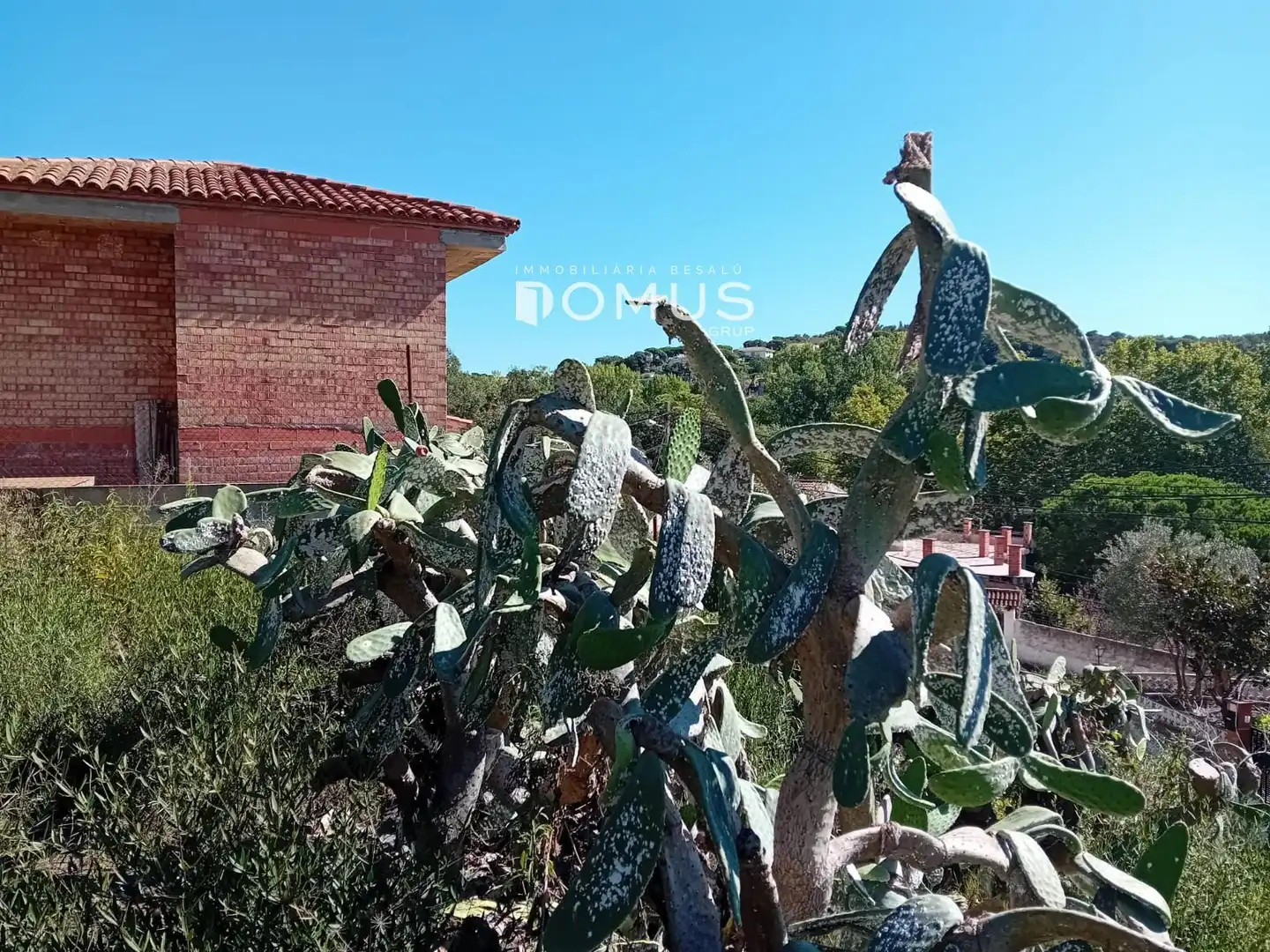 Terreno rustico in vendita a Dels Eucaliptus, imagen 7