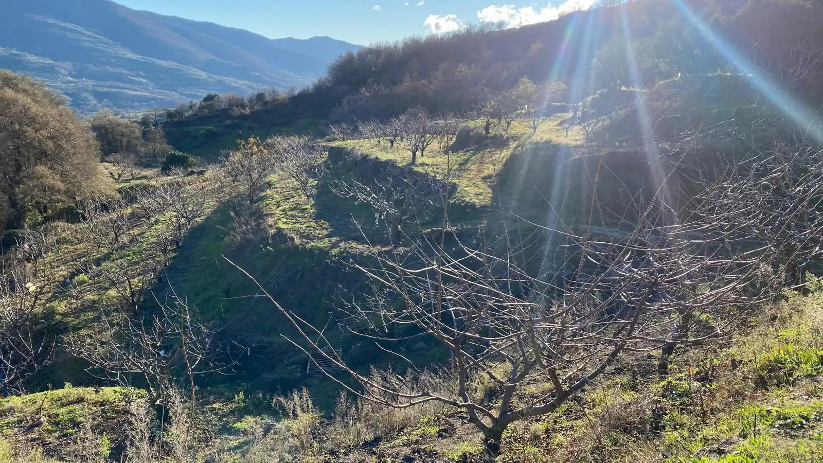 Terreni e lotti in vendita a El Torno, imagen 5