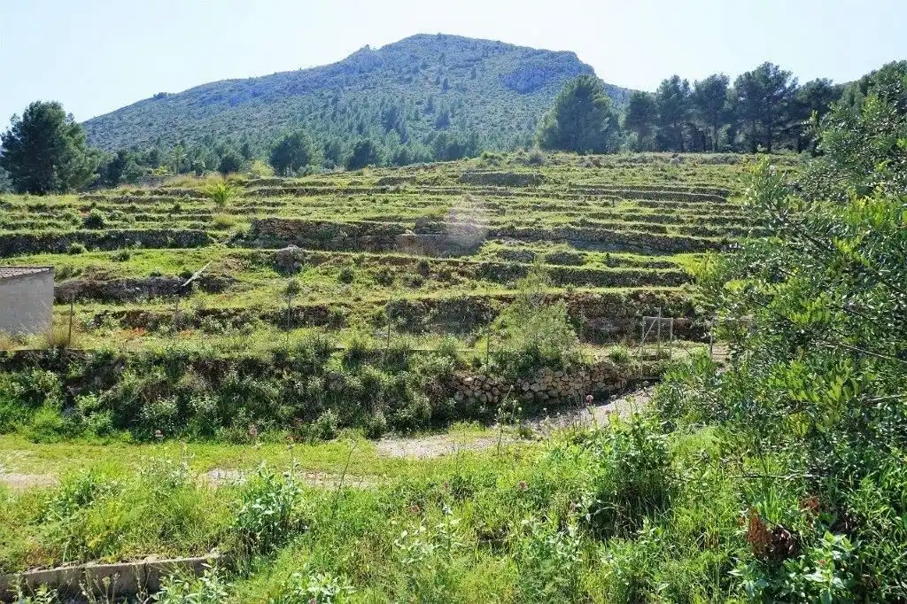Terreny residencial en venda a Callosa d'en Sarrià, imagen 49