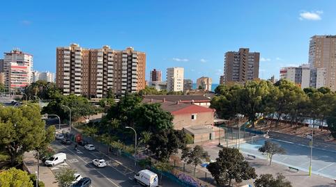 Foto 2 de Pis de lloguer a Carrer Zeus, Albufereta, Alicante / Alacant