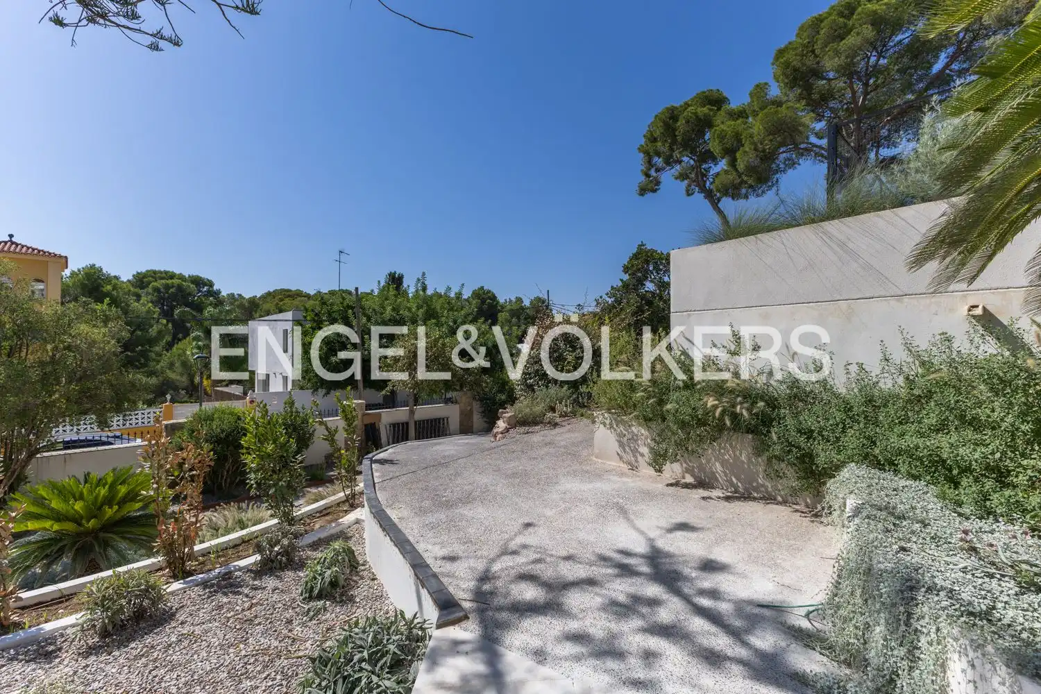 Casa o xalet de lloguer a Avinguda Acàcies, Campolivar