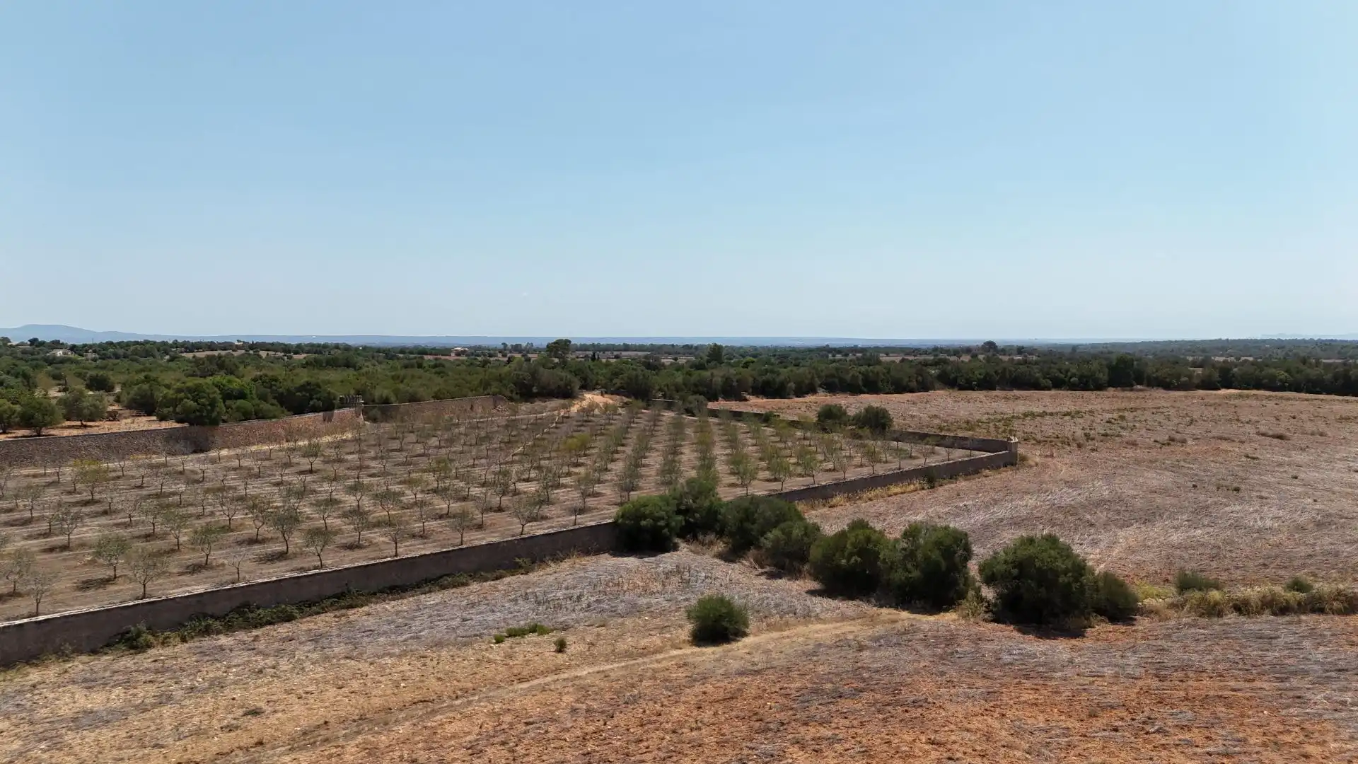 Country house for sale in campos, imagen 19
