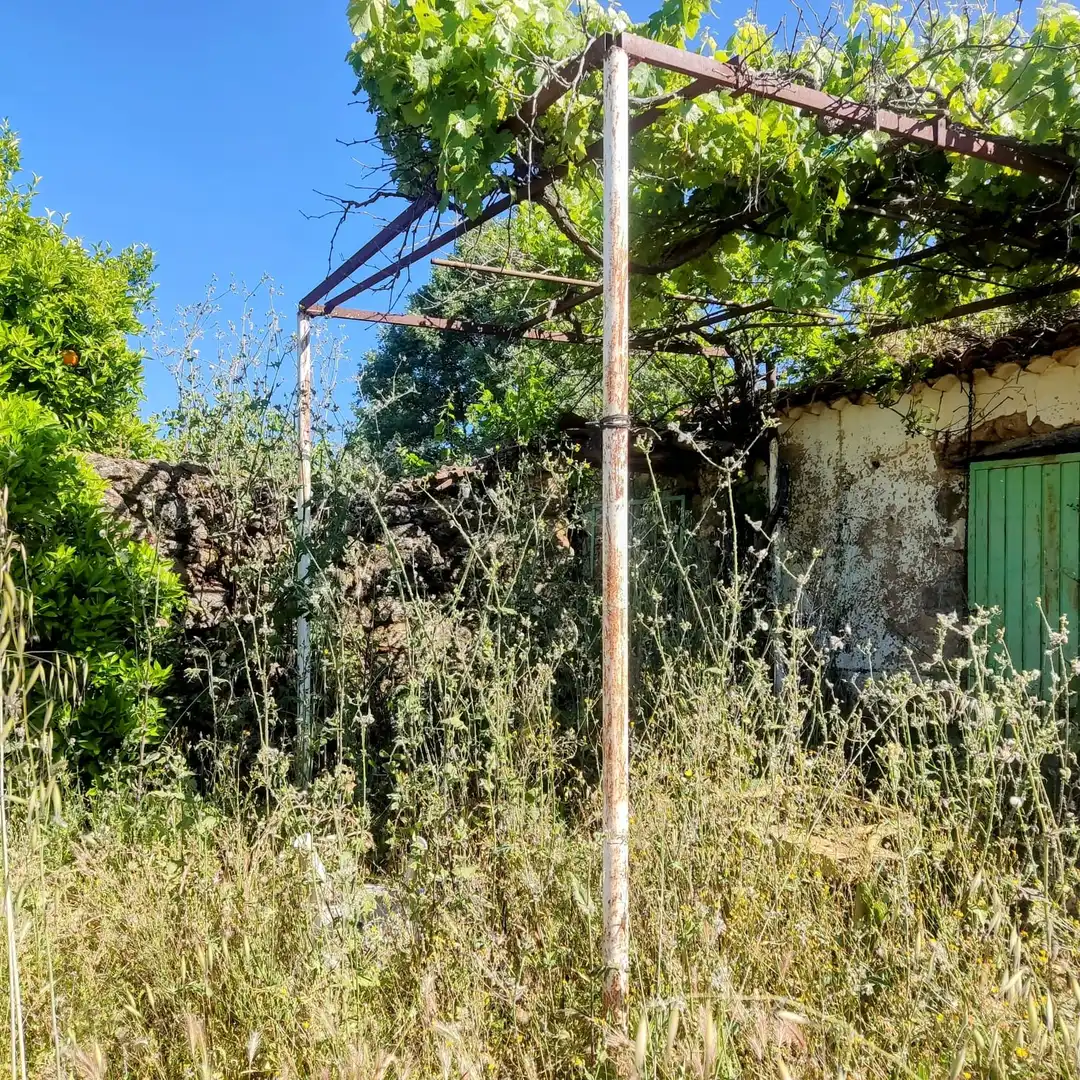 Land for sale in Jarandilla de la Vera