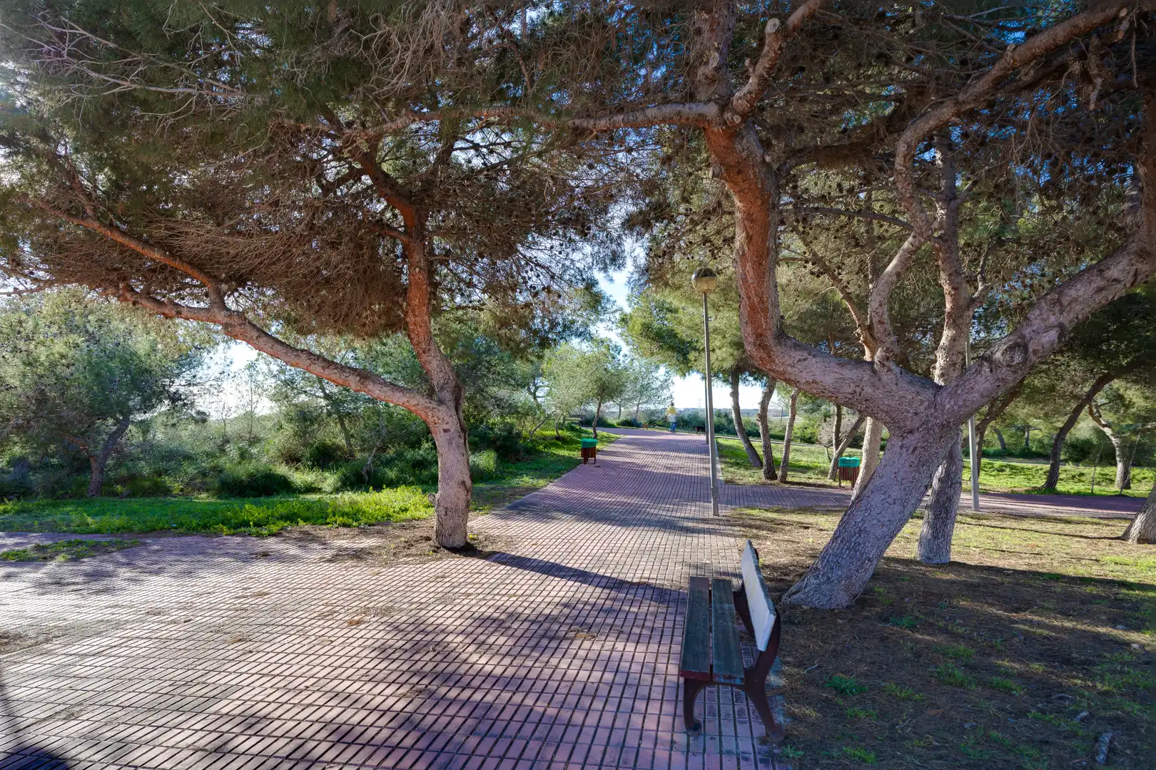 Vista exterior de Pis en venda en Orihuela amb Aire condicionat, Jardí privat i Terrassa