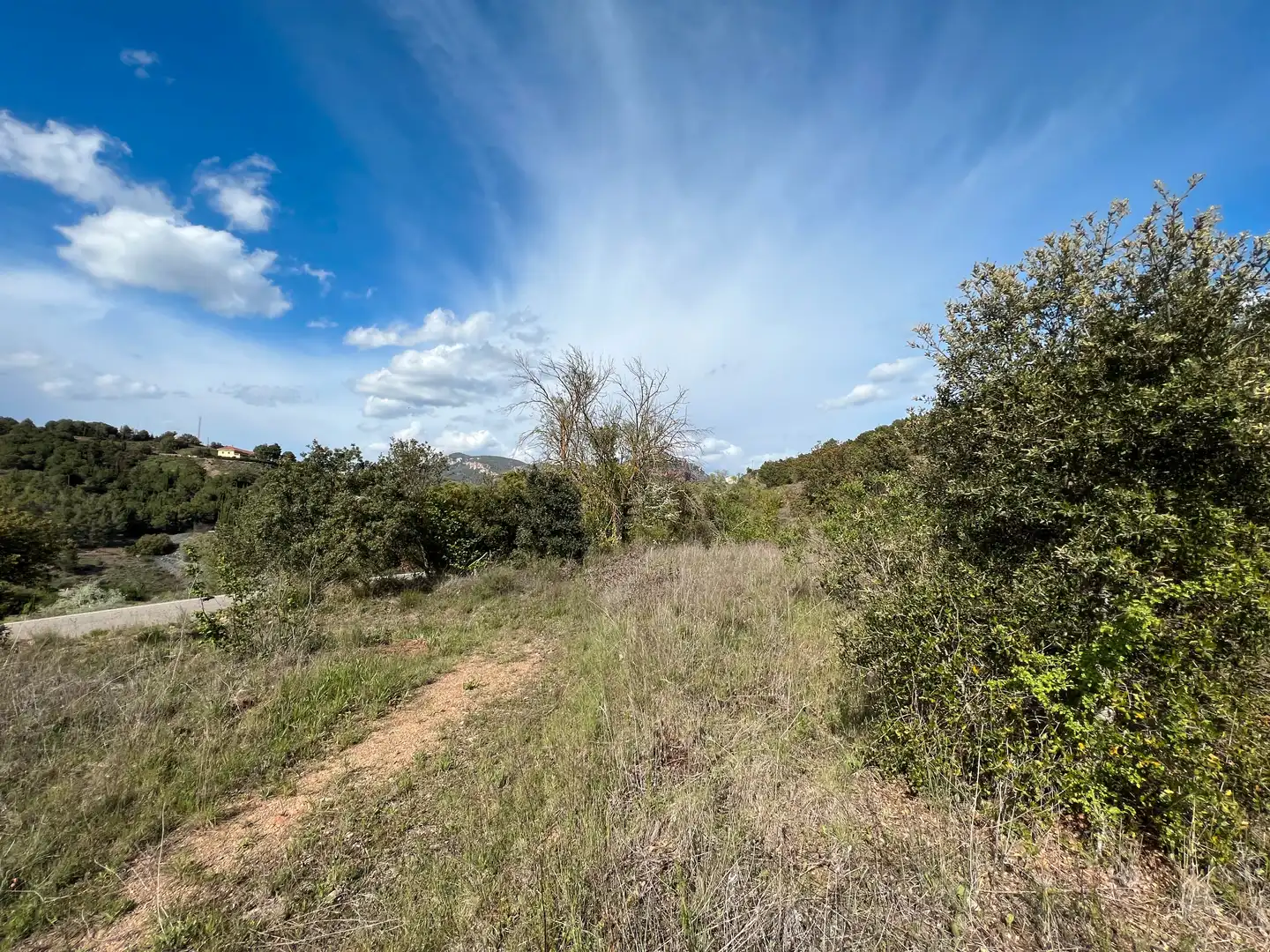 Rural land for sale in Cornudella de Montsant, imagen 16