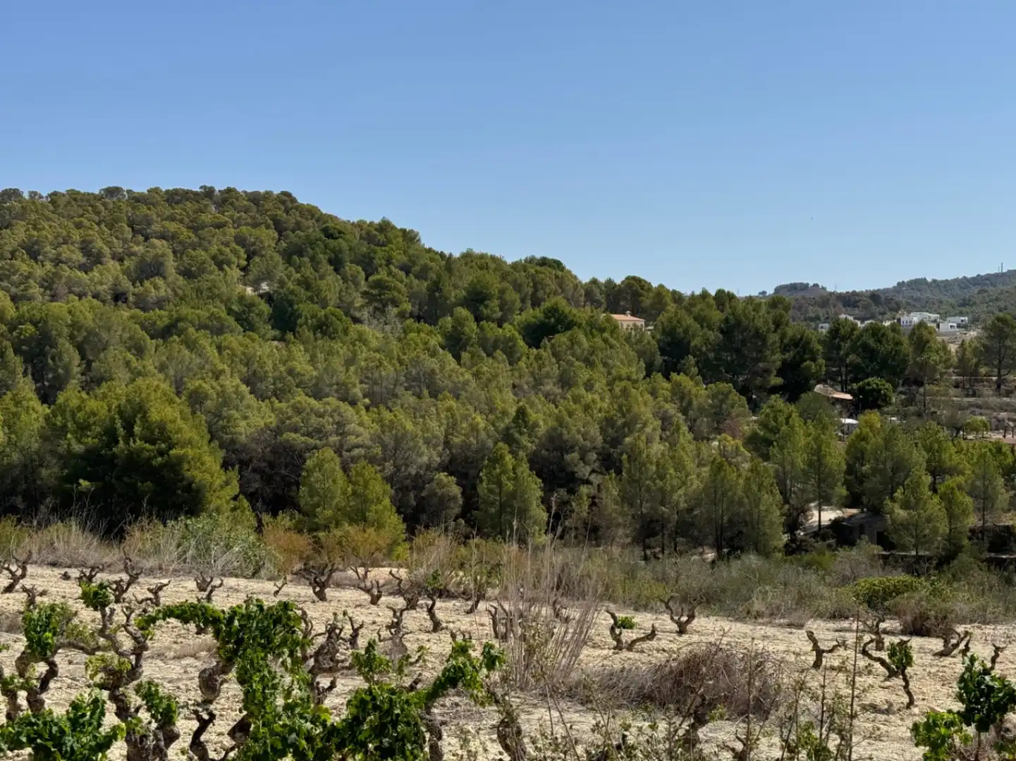 Terrenos y solares en venta en Benissa pueblo, imagen 4