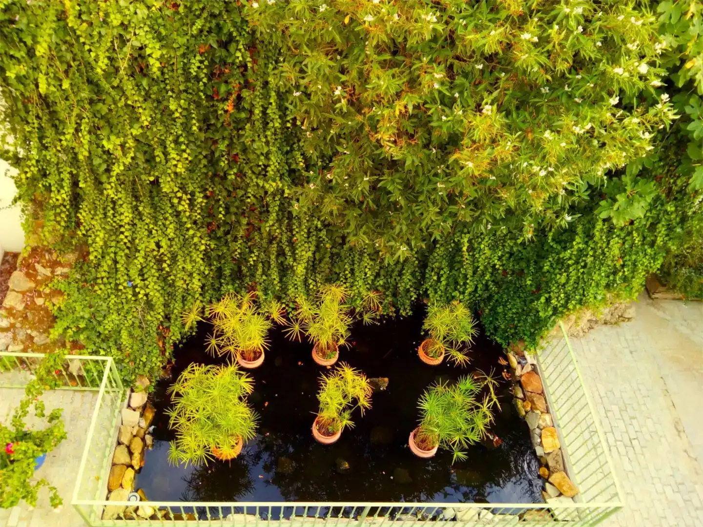 Jardí de Apartament de lloguer en Tarifa amb Aire condicionat, Jardí privat i Moblat