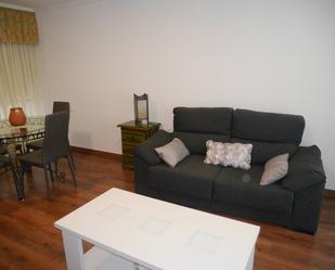 Living room of Flat to rent in Elda