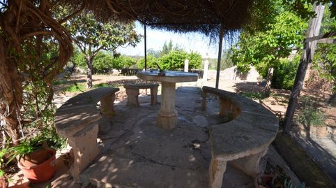 Foto 4 de Finca rústica en venda a Sa Casa Blanca, Palma de Mallorca