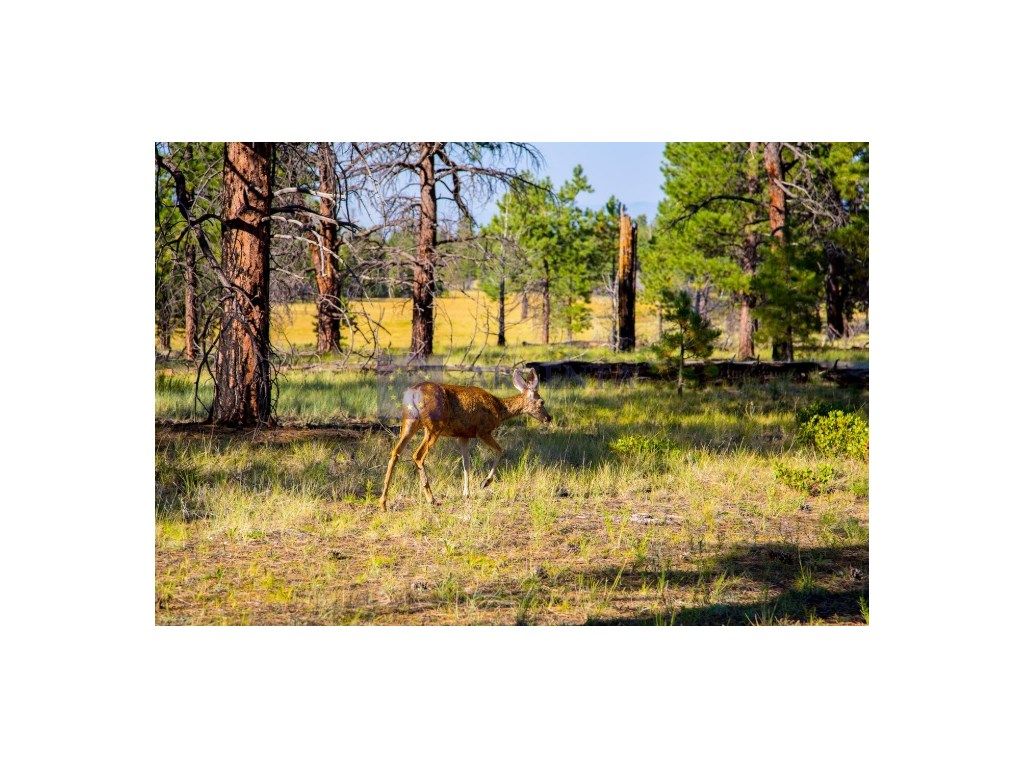 Vista exterior de Casa o xalet en venda en Calzadilla