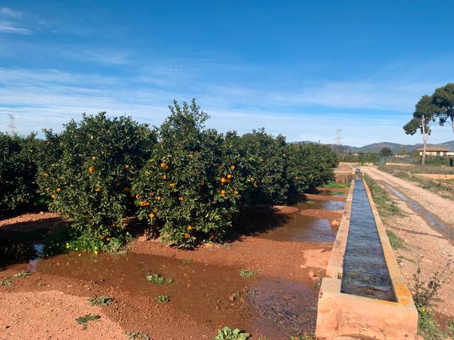 Terreno en Venta en Urbanització Pla de Andanes, 15 en Los Pinares - La Masia