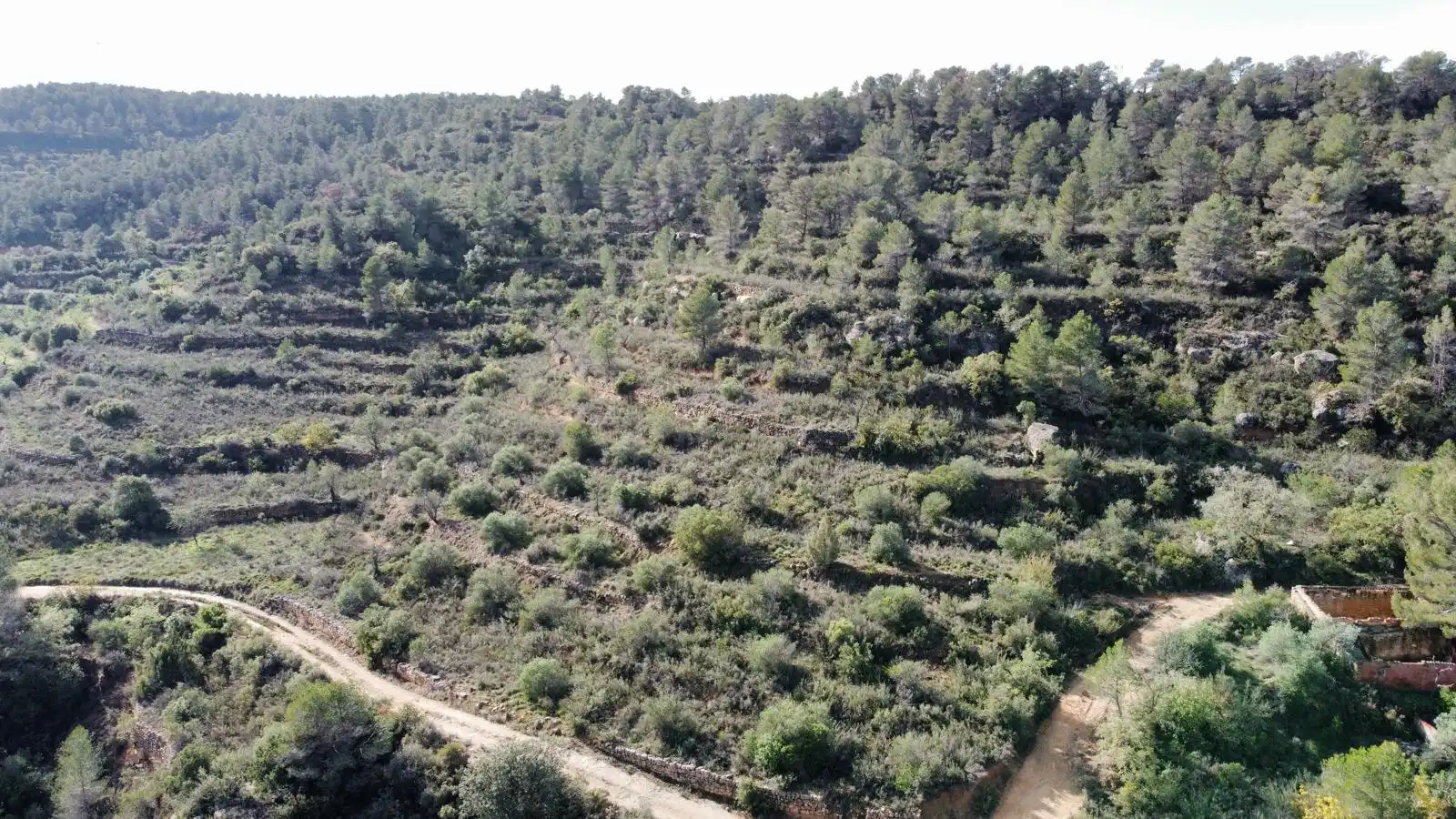 Terreno rustico in vendita a Cervià de Les Garrigues, imagen 6