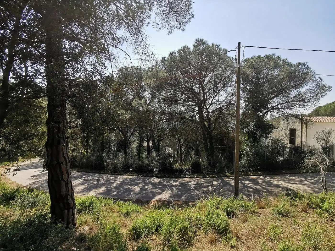 Terreny residencial en venda a Carrer Mil Pins 61, imagen 5