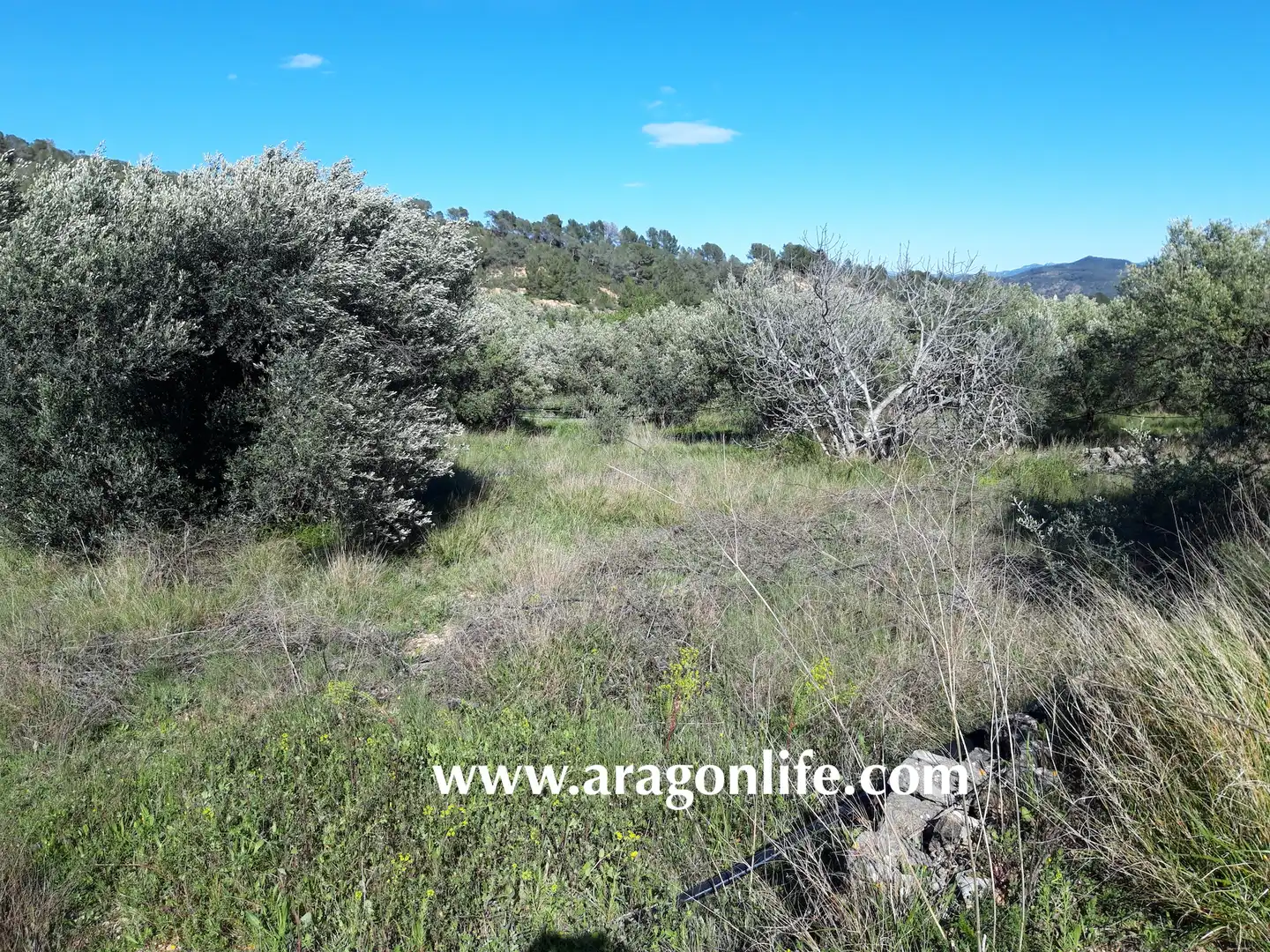 Country homes for sale in El Pinell de Brai