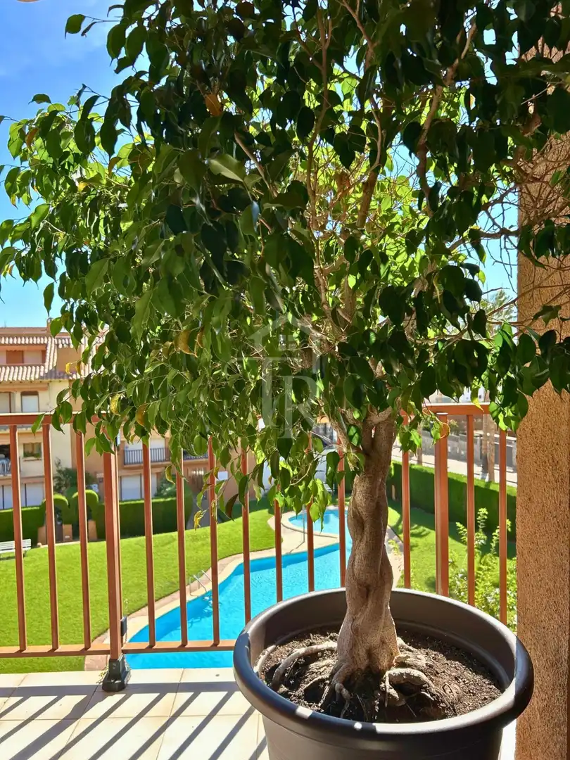 Jardí de Dúplex en venda en Roda de Berà, Tarragona