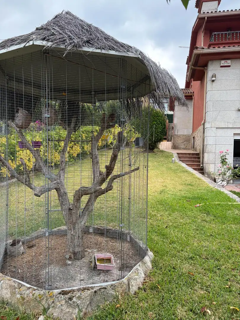 Maison avec terrasse à vendre à Calle CARBALLEZA-PRIEGUE, imagen 7