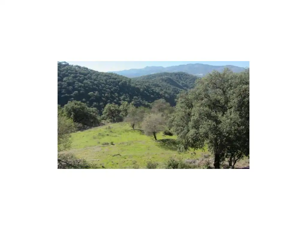 Houses for sale in Alpandeire