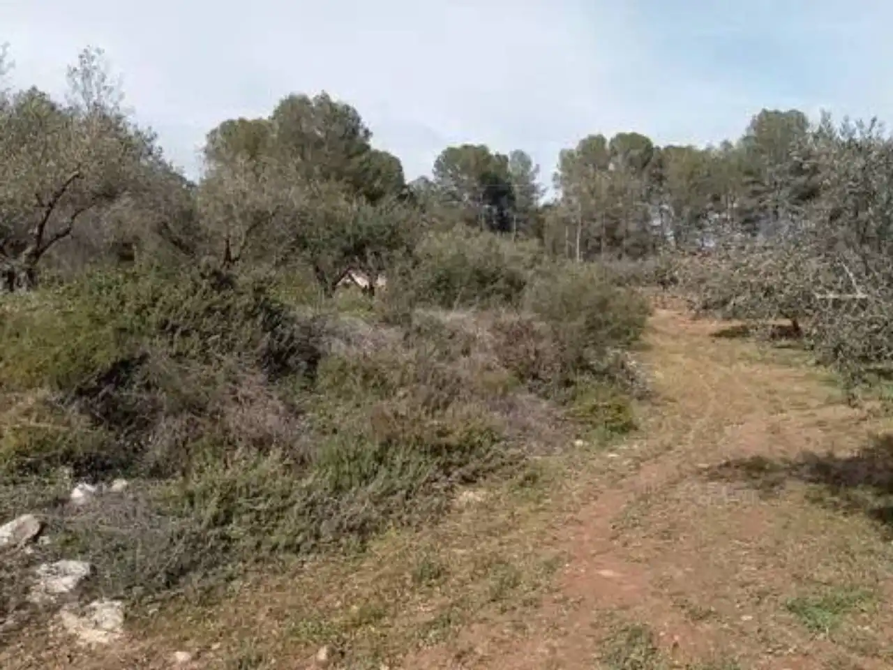 Terreno en venta en Guadasséquies