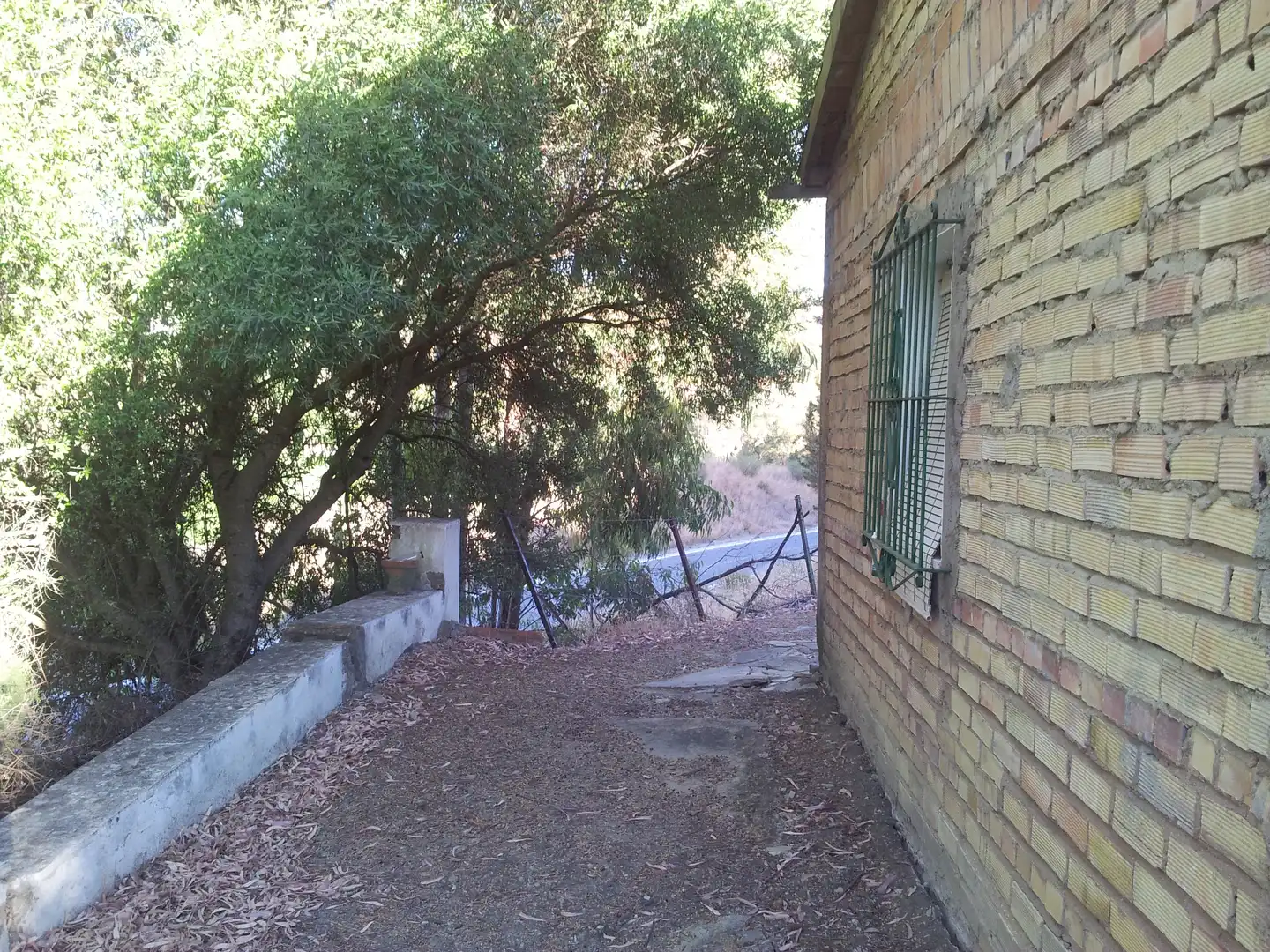 Vista exterior de Finca rústica en venta en Ubrique