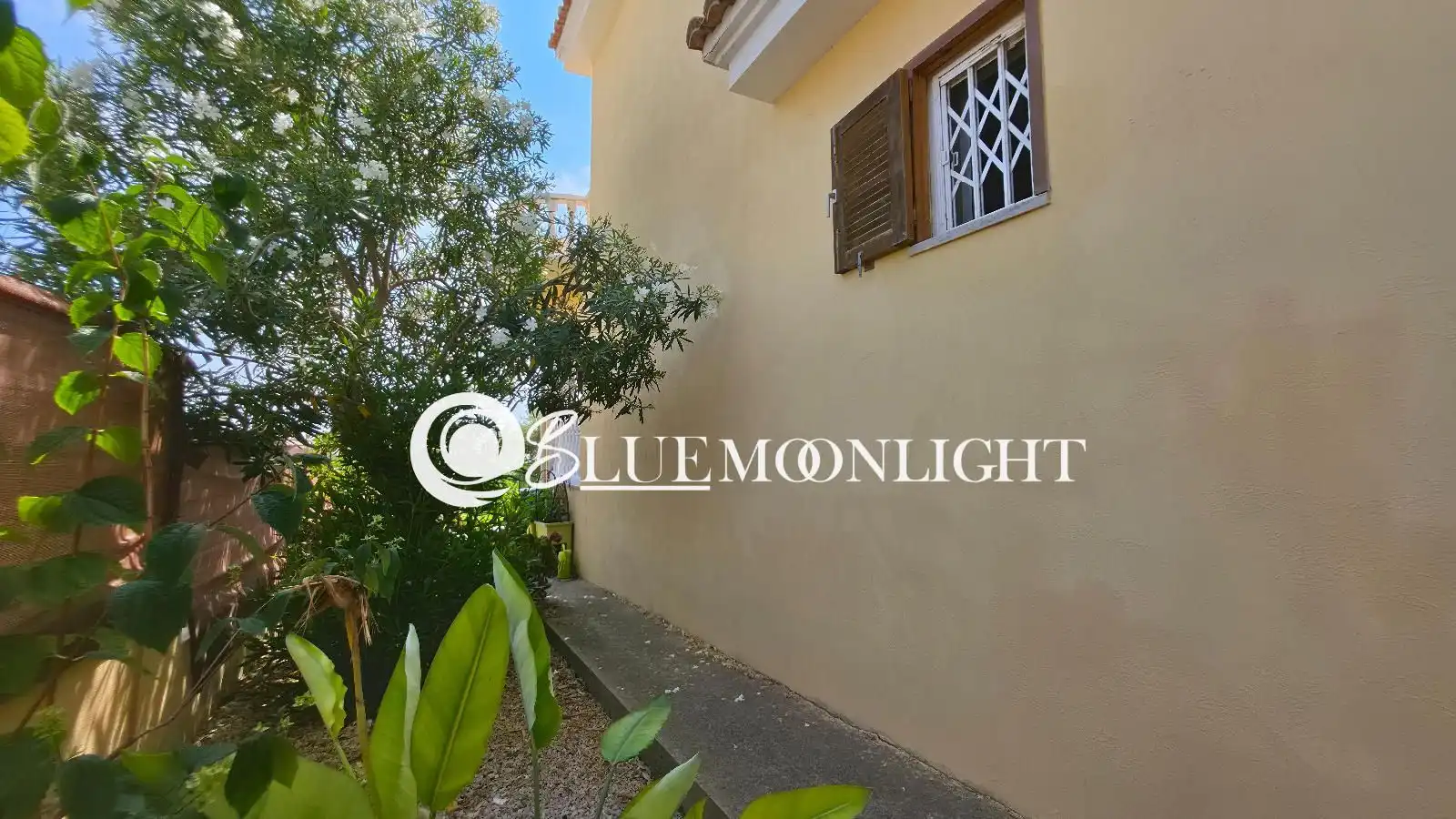 Villa avec piscine à vendre à cervera, imagen 18
