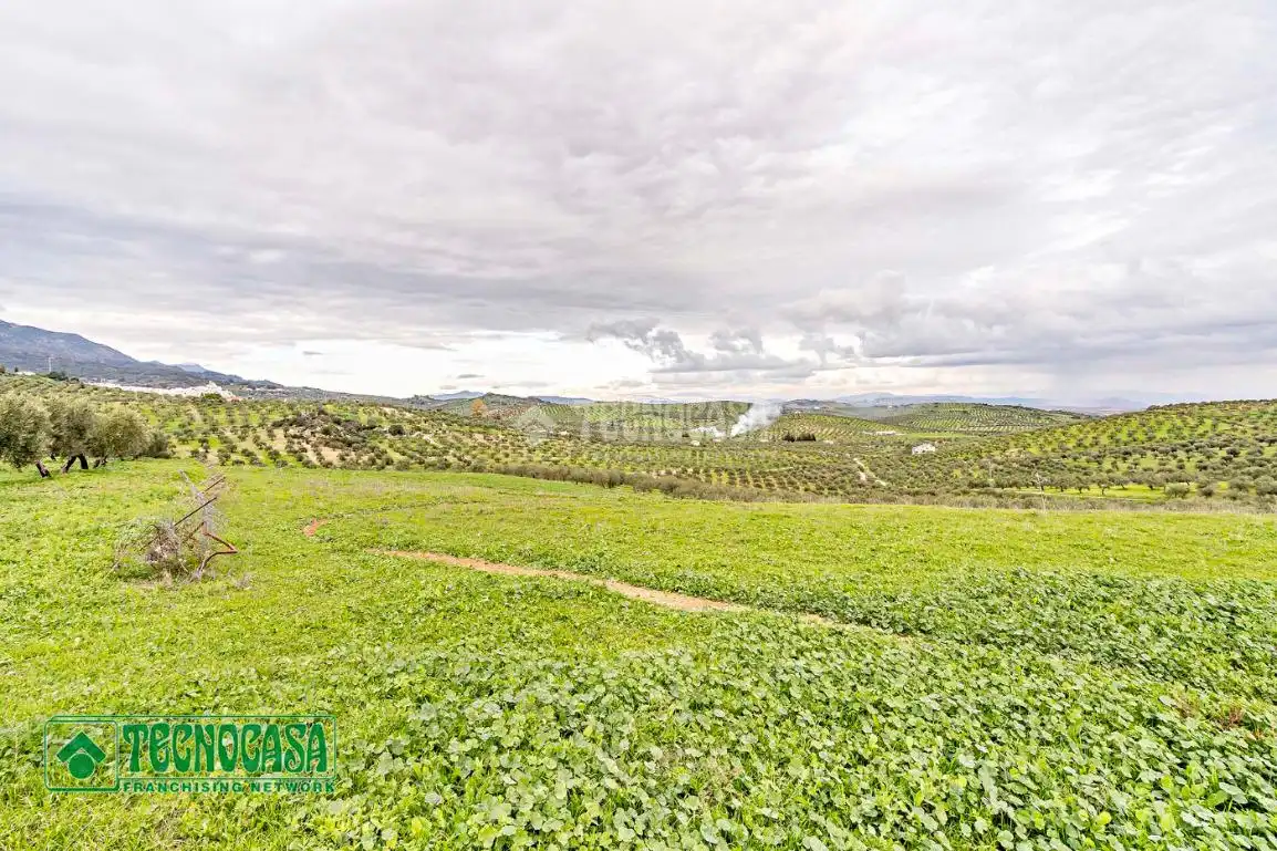 Rural land for sale in Alozaina, imagen 16