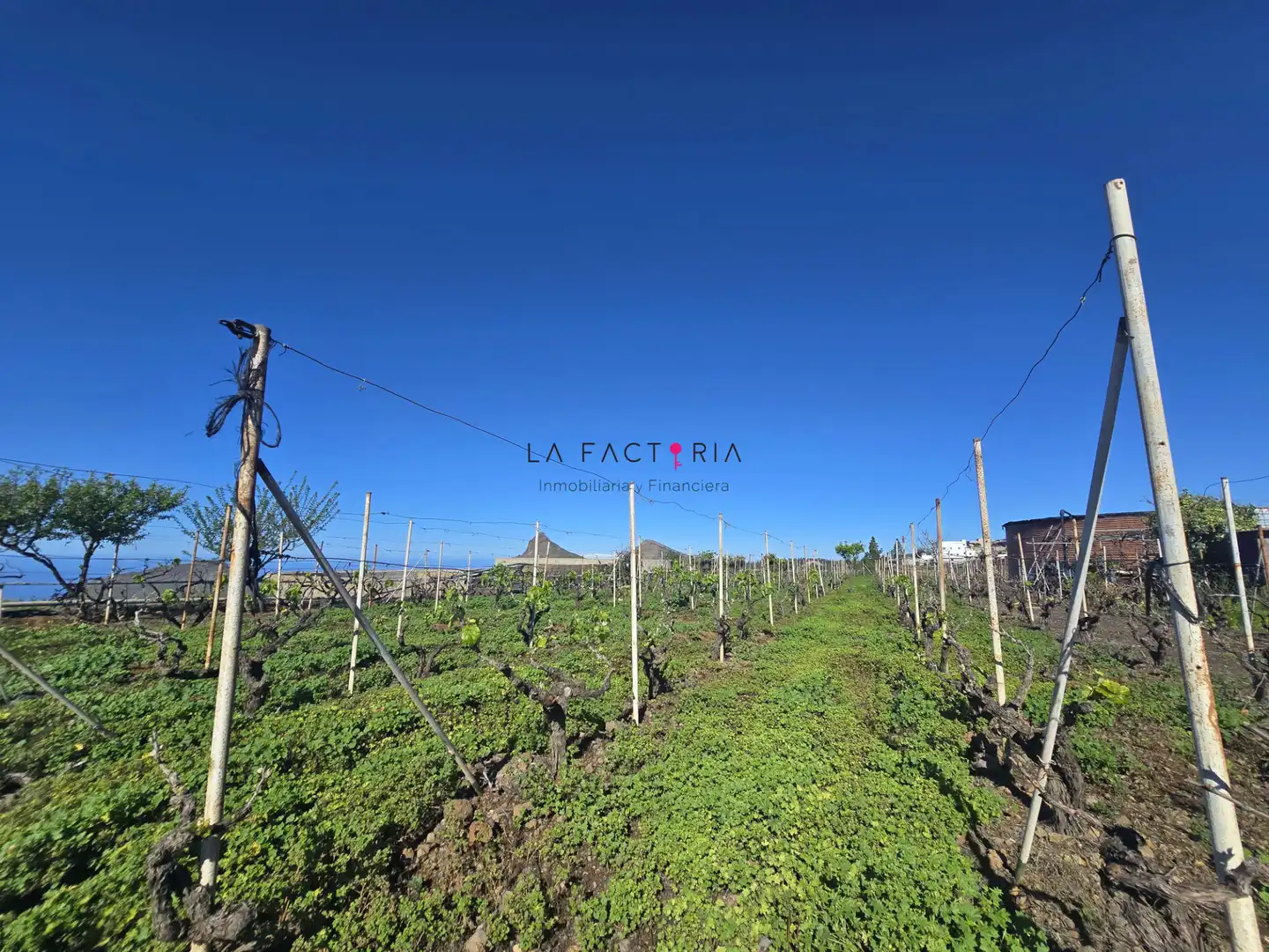 Terreno rústico en venta en Vilaflor de Chasna, imagen 16