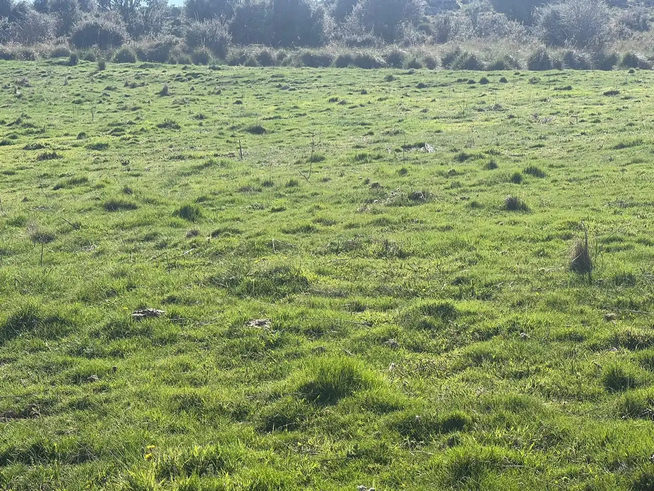 Terreni e lotti in vendita a Tornadizos de Ávila, imagen 24
