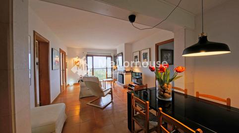 Foto 2 de Apartament de lloguer a Port d'Alcúdia - Platja d'Alcúdia, Alcúdia