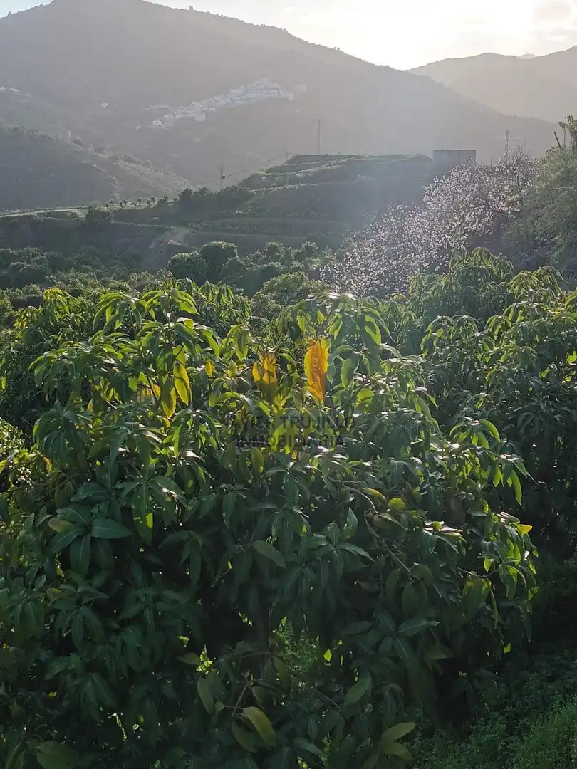 Finca rústica en venta en Cútar con Terraza, Trastero y Piscina