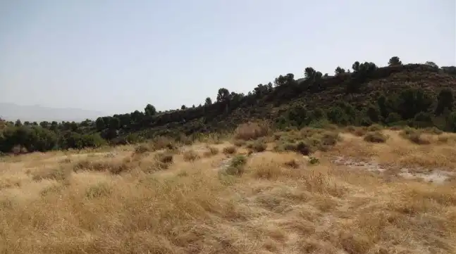 Terrains et parcelles à vendre à Pt Llana Diputación de la Parrilla, imagen 12