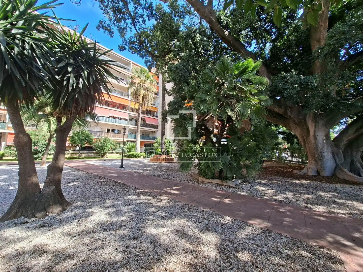 Appartamento con giardino in affitto a Este, imagen 41