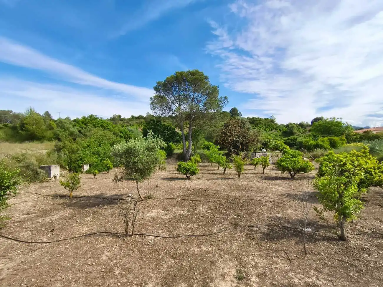 Casa rustica con piscina in vendita a Xàtiva, imagen 37