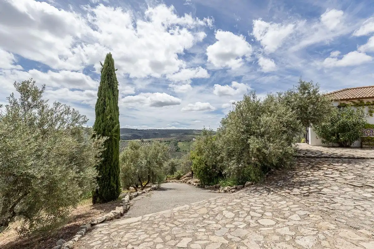 Vista exterior de Finca rústica en venta en Alcalá la Real con Calefacción y Terraza