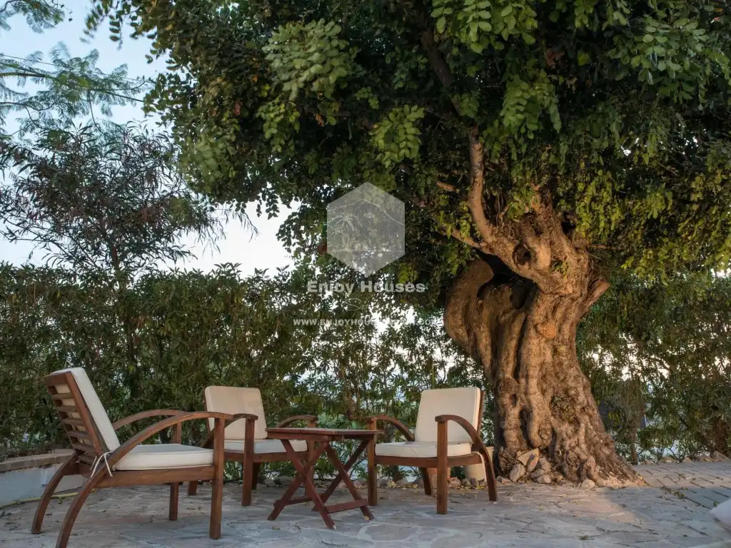 Local en venta en Montgó - Ermita