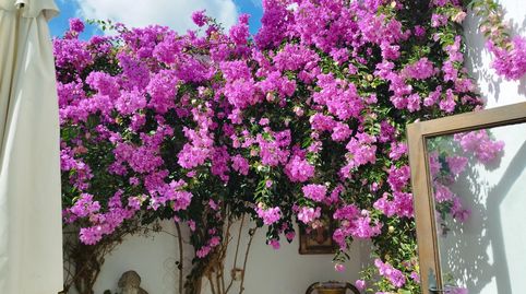 Foto 4 de Casa adosada en venda a Almadén de la Plata, Sevilla