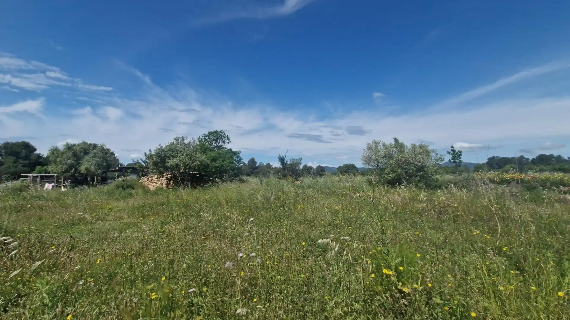 Terreno rustico in vendita a Valls, imagen 35