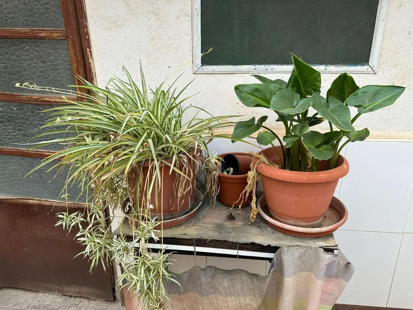 Casa amb terrassa en venda a Lorca Ciudad, imagen 40