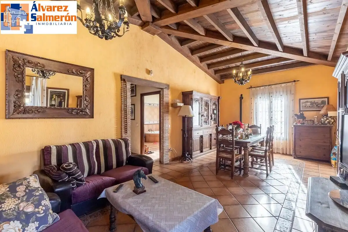 Sala d'estar de Casa o xalet en venda en La Zubia amb Jardí privat